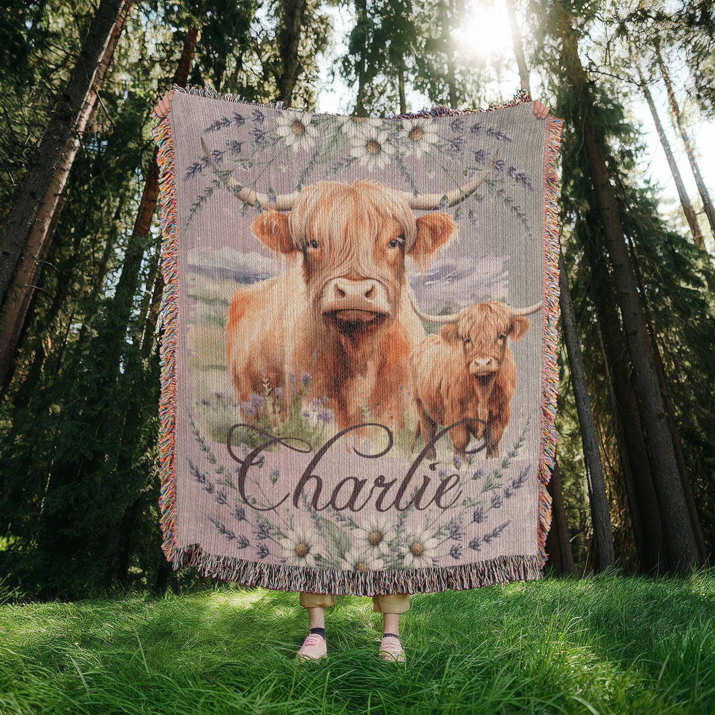 Highland Cow