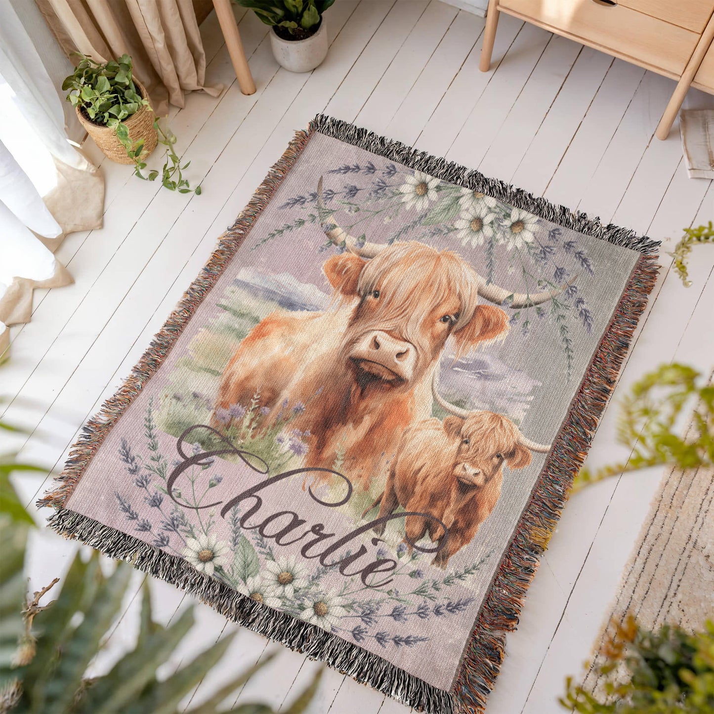 Highland Cow