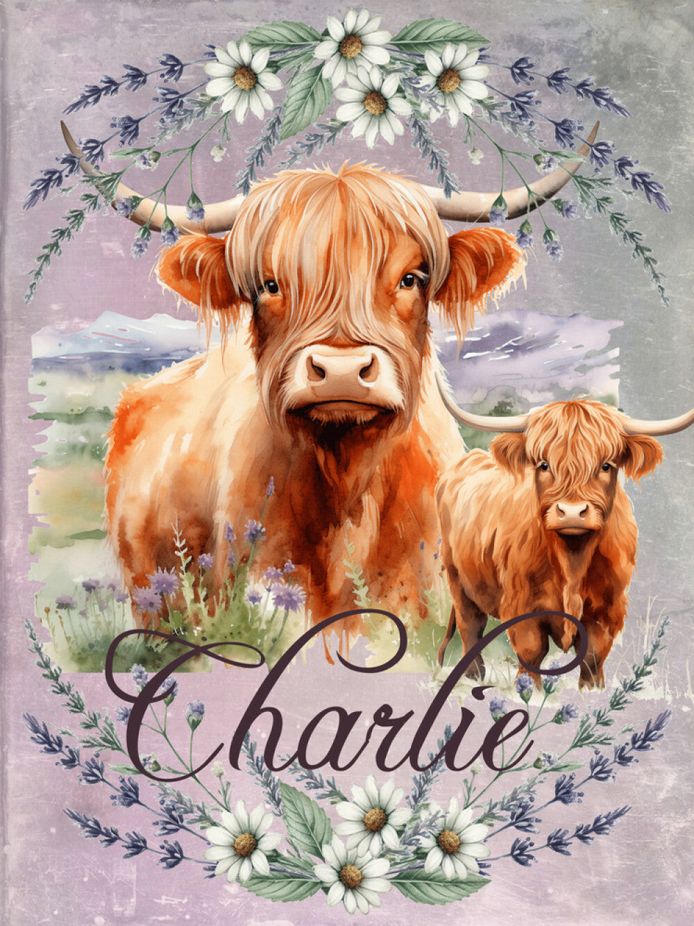 Highland Cow